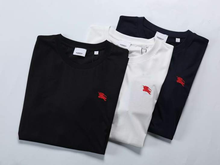 Picture of Burberry T Shirts Short _SKUBurberryS-2XLsr0820028